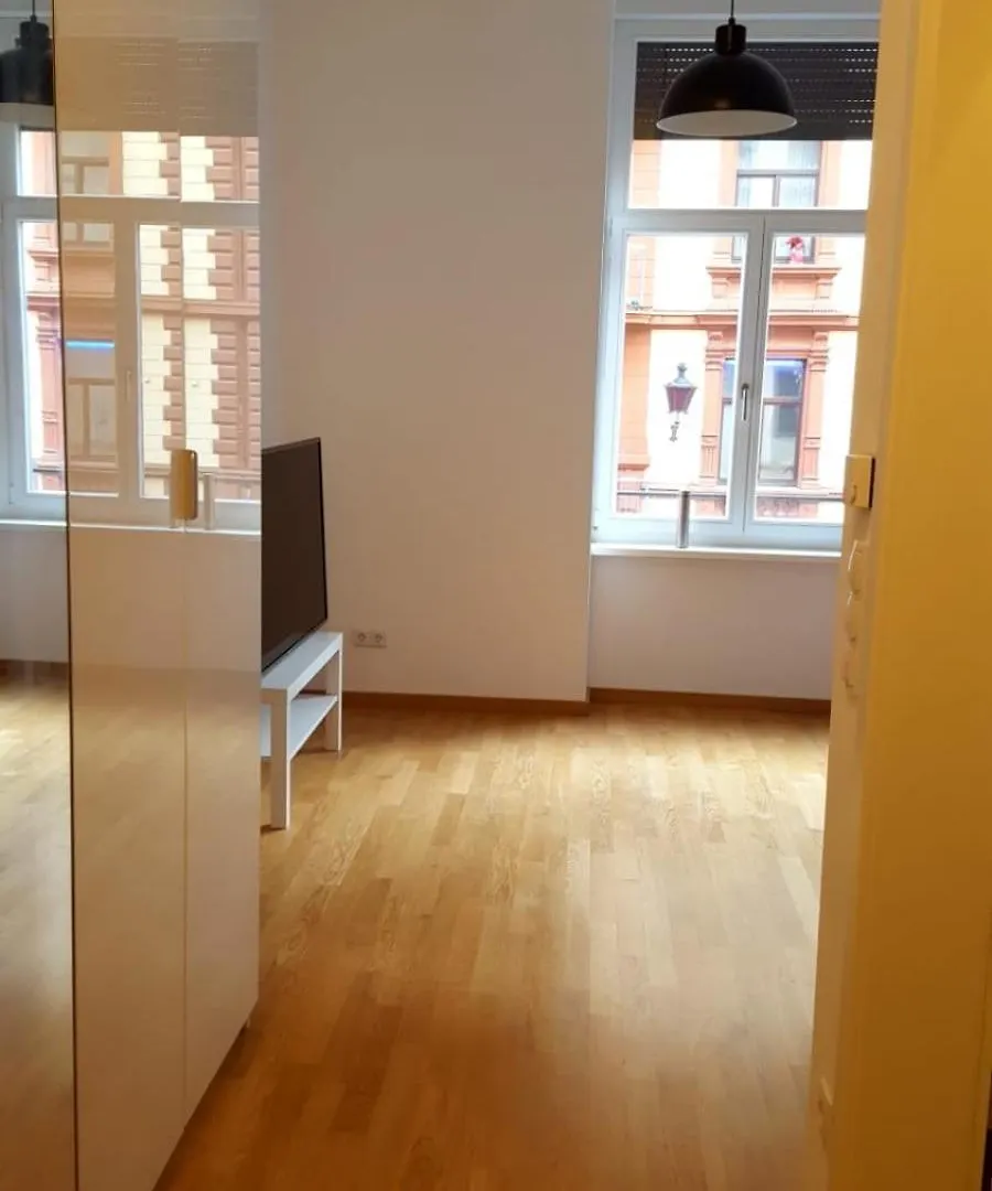 Frankfurt Studio Apartment Close To Main-Station Frankfurt nad Mohanem